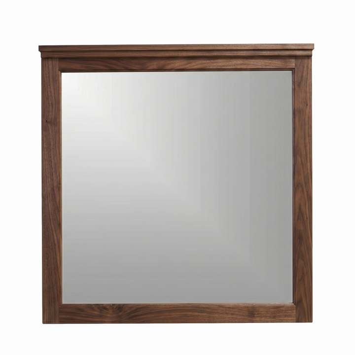 SO13 - Shoreline MIrror
